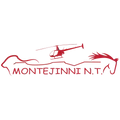 Customer logo