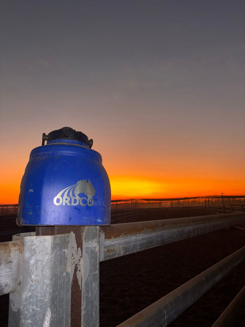 Ord Co logo engraved on a Yowy on a fence post at sunset