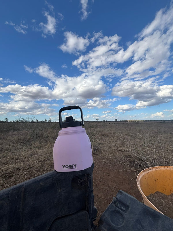 Customer photo: pink 3L Yowy on the fence line