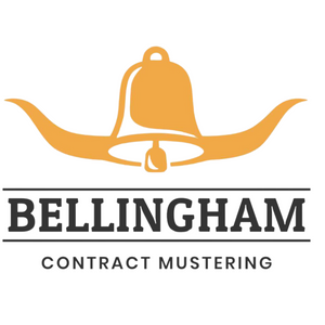 Customer logo