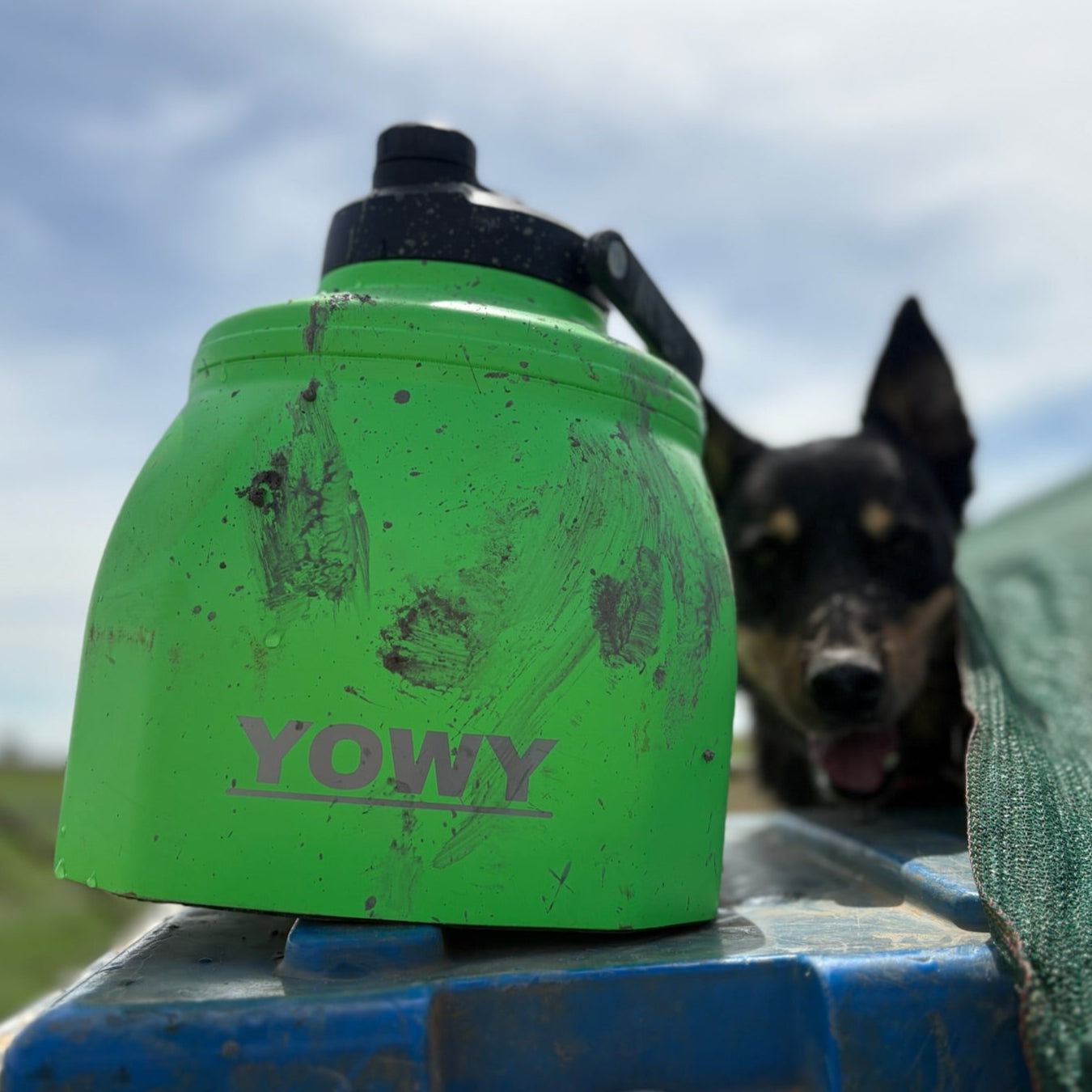 6L Yowy Watercan