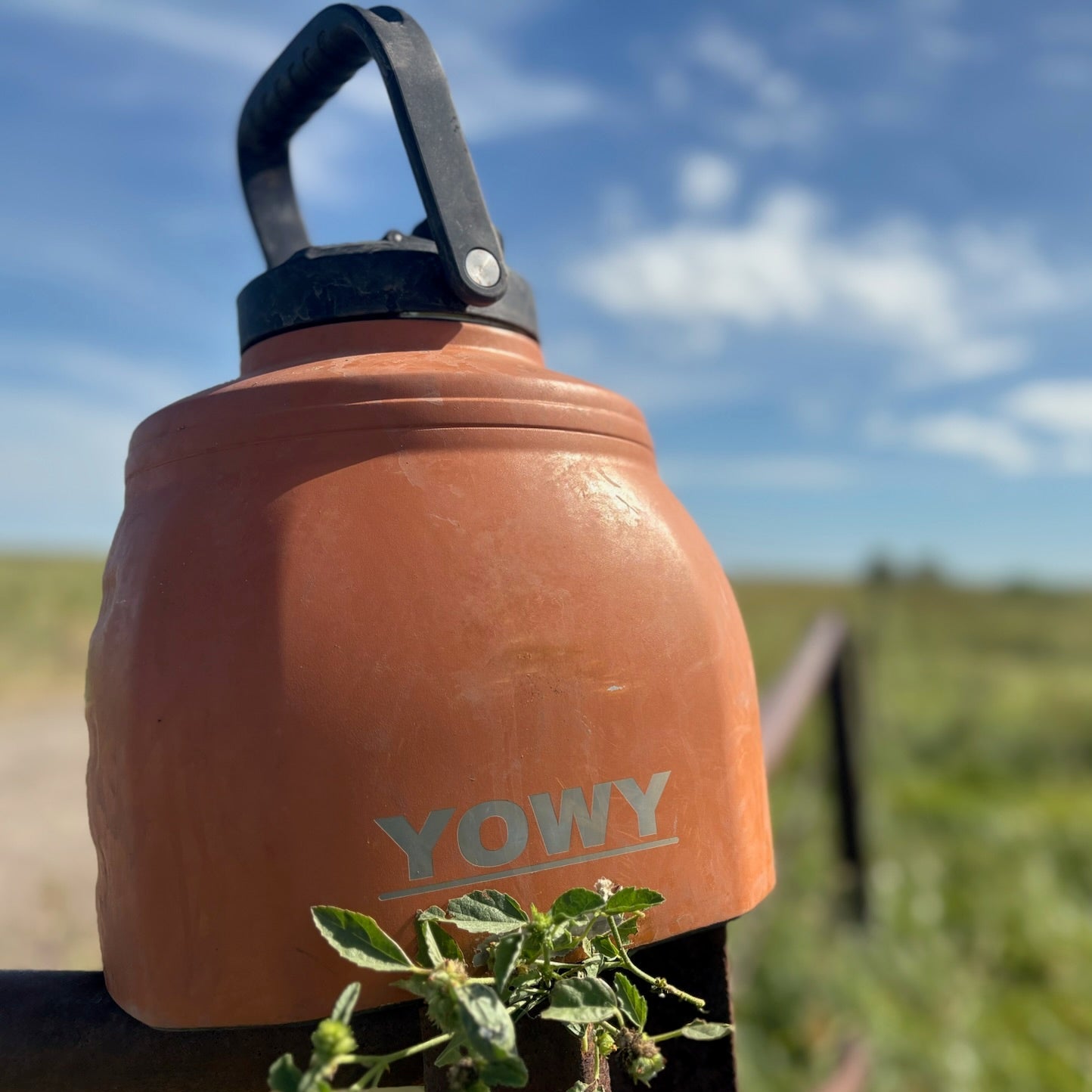 6L Yowy Watercan