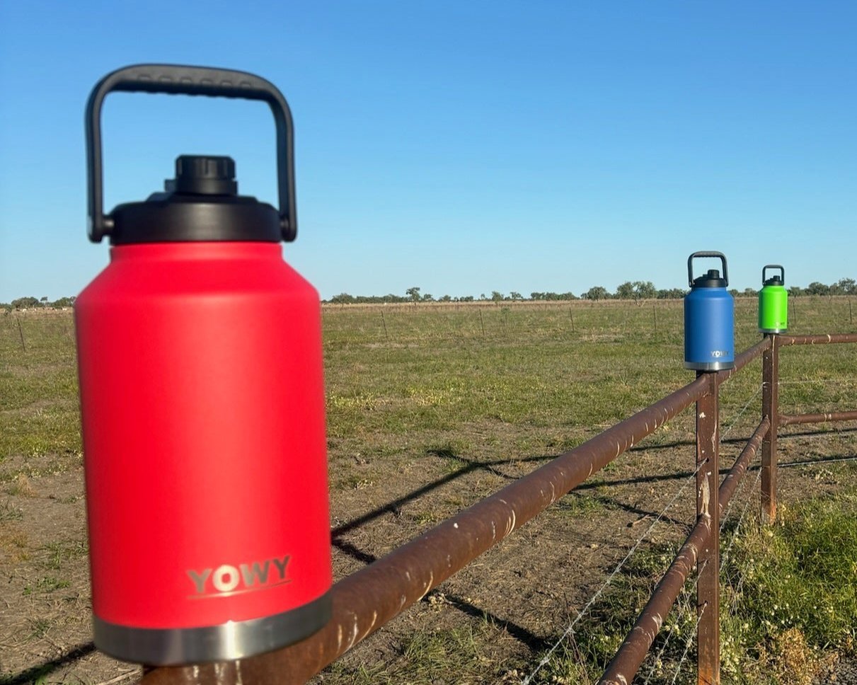 Stainless Water Bottle